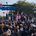 demo pati